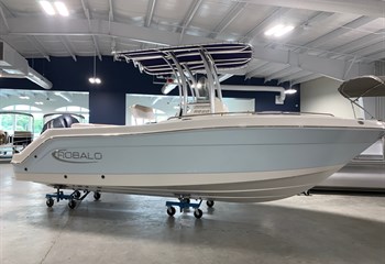 2022 Robalo R222 Ice Blue/White  Boat